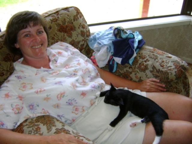 We get our new cat Katie!