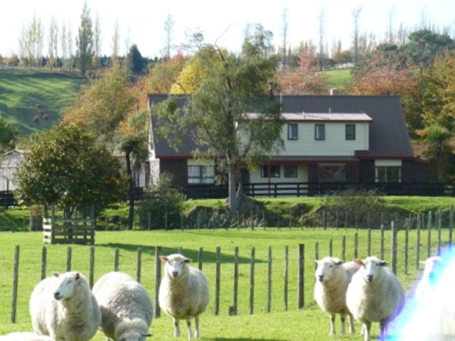 We finally move into our new home!