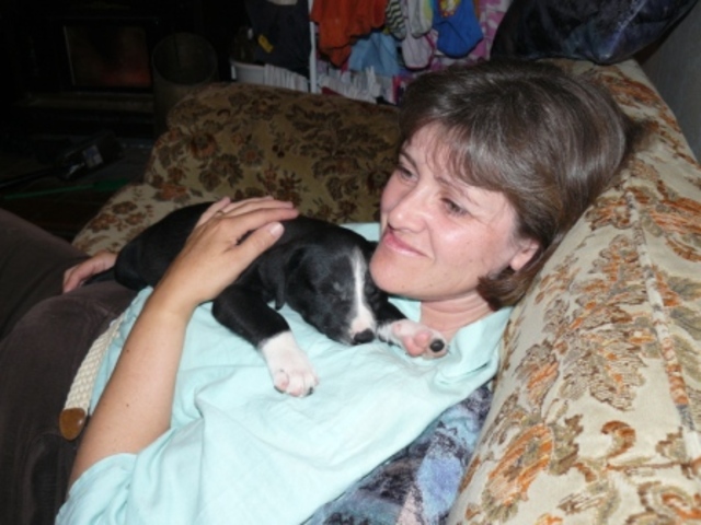 We get a new dog called Penny!