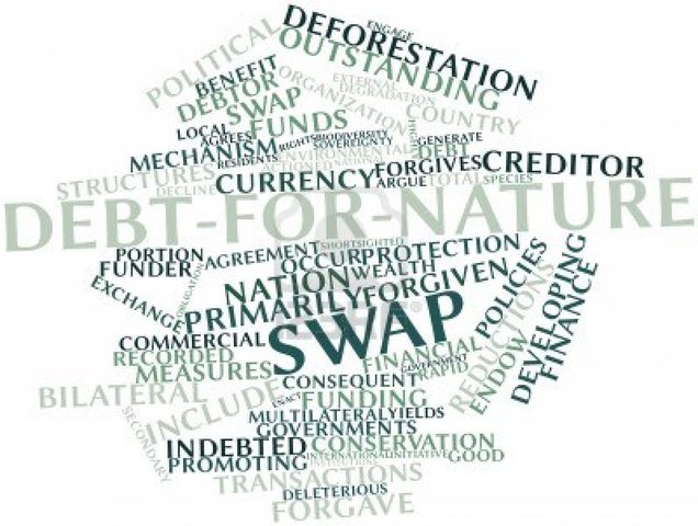 Debt swap (Guardian)