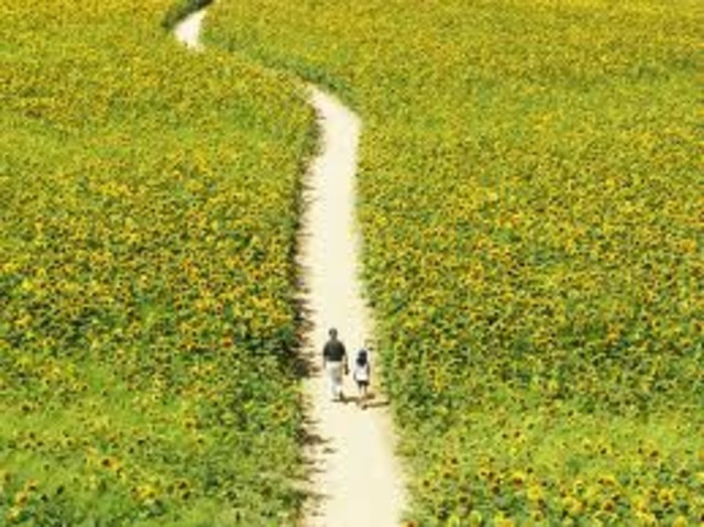 Прогулка 16.30-18.00