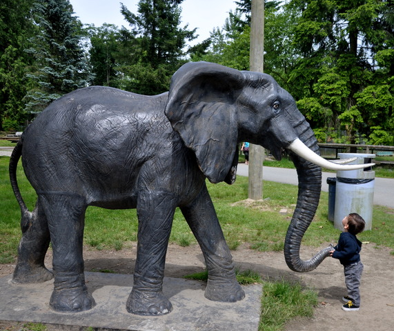 The Vancouver Zoo