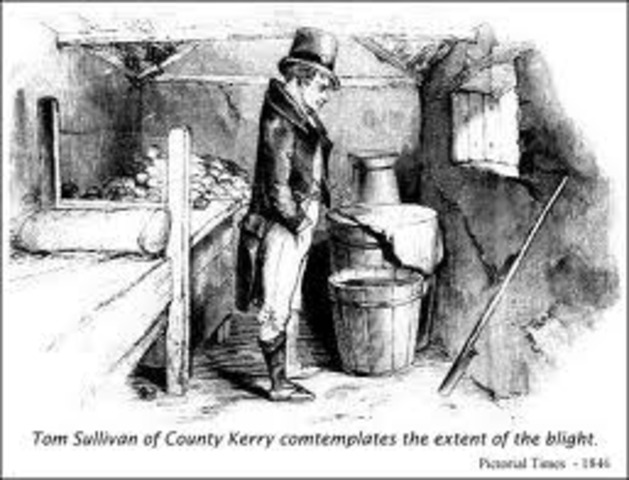 Potato famine begins in Ireland