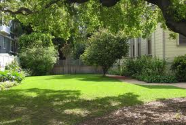 Puedo jugar en el patio