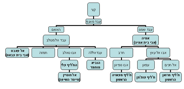 מוחמד נישא לחדיג'ה