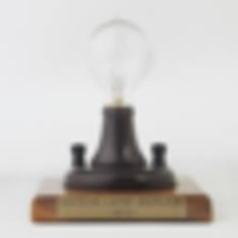 Thomas Edison invents the incandescent lamp