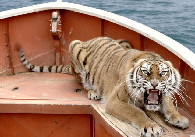 Richard Parker is on the Boat.