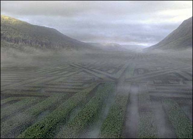 Confusion Over the Extent & Clarity of the Law