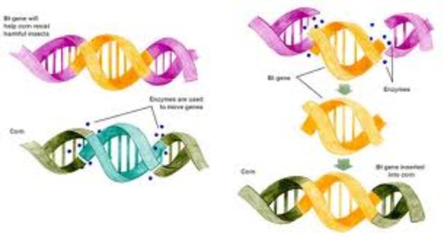 Genetic Engineering