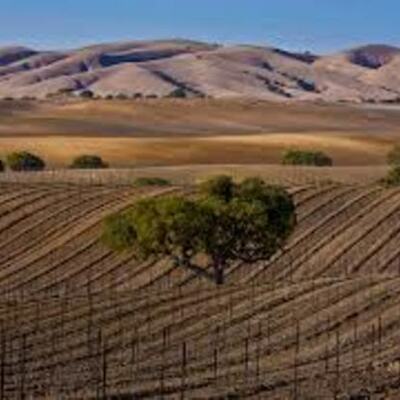 Timeline: The Frontier