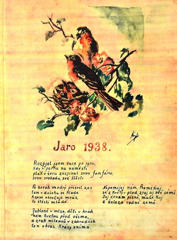 Částečná mobilizace