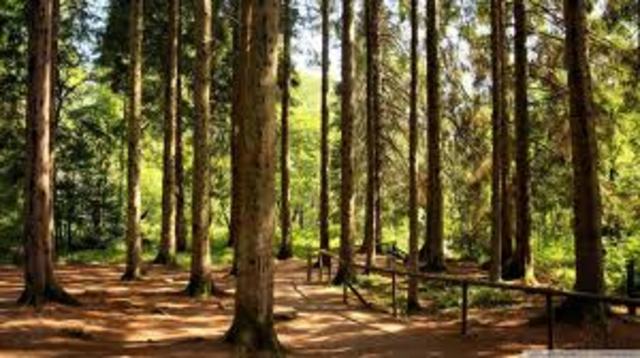 6th Grade Science Camp