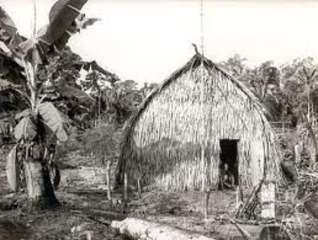 Tenerife, La Palma y Gran Canaria