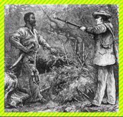The Nat Turner Rebellion