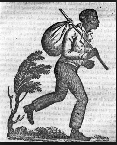 Run away slaves get freedom in St. Augistine