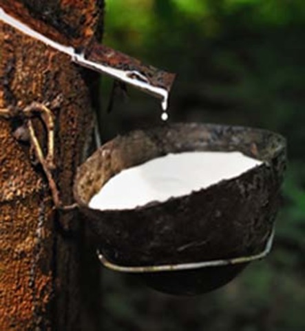 La primera fabrica que uso hule natural se estableció en París