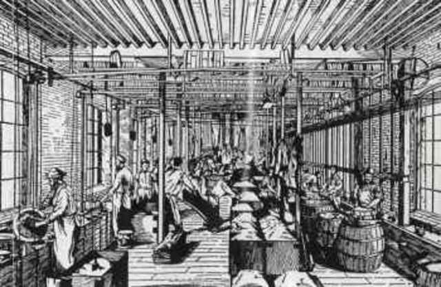 Deskilling of Workers