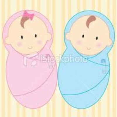 Timeline: The Developing Baby (Tori Davids)