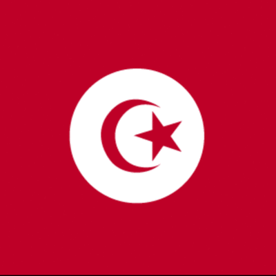 Timeline: Arab Spring (Reserach Project) - Robert Macioce/ Daniel Kamovitch (Mrs. Urschler)