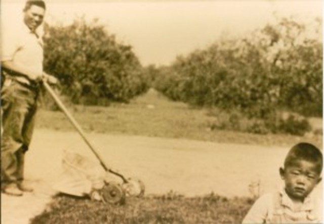 California's Alien Land Law