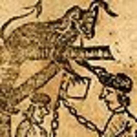 Sons of liberty formed