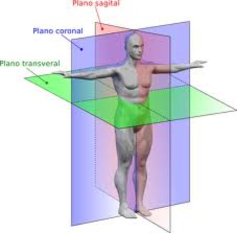 Unit 1 Introduction to A & P
