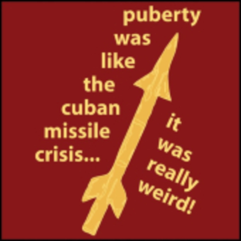 Consequences of the Cuban Missile Crisis