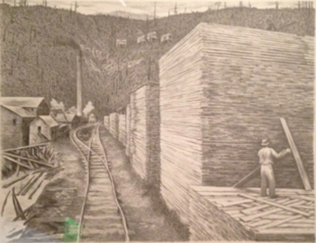 Cut-Over Land (Timber Lands)