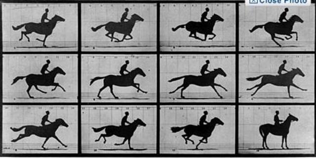 The FIRST action photo