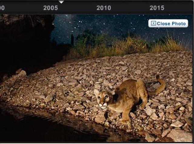 First Digital Camera Trap