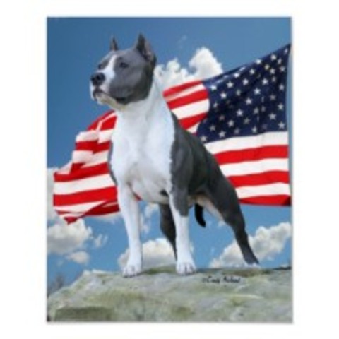 Simbolos De La 1 Guerra Mundial