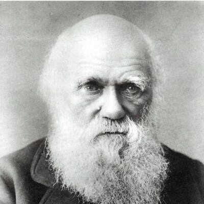 Timeline: Darwin's Life