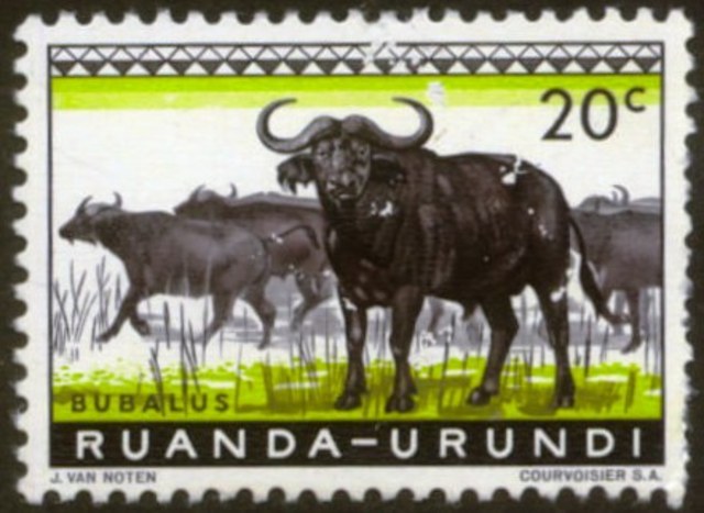 Rwanda - Urundi are joined as a League of Nations mandate governed by Belgium