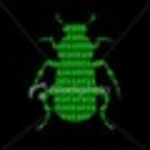 Computer Bug