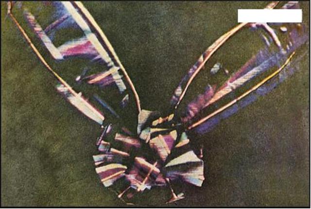 the first coloured photo