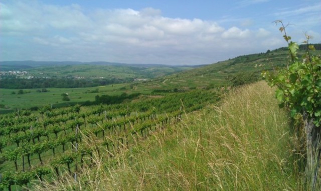 Agriculture advances