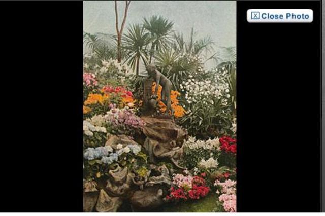 first natural colour photo