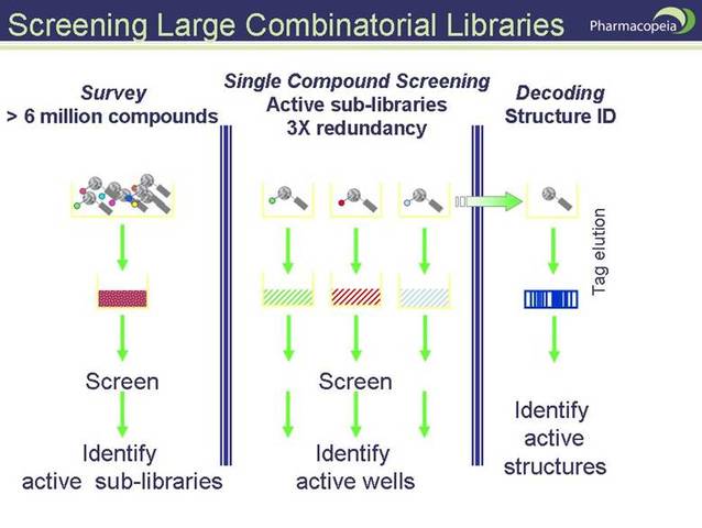 Use of combinatorial libraries