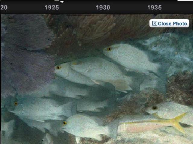 First underwater colour photo