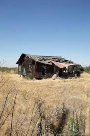 Day 7 : Fever and Peddlers House