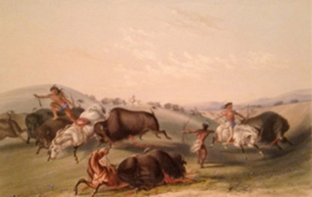 Buffalo Hunt, Chase