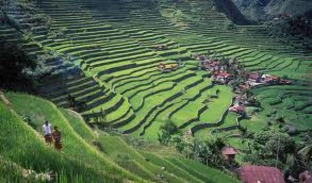 Philippines fall to Japan