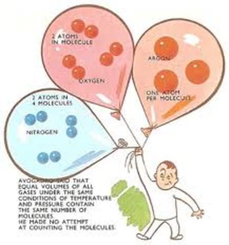 Amadeo's Contribution