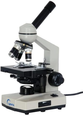 Compound optical microscope