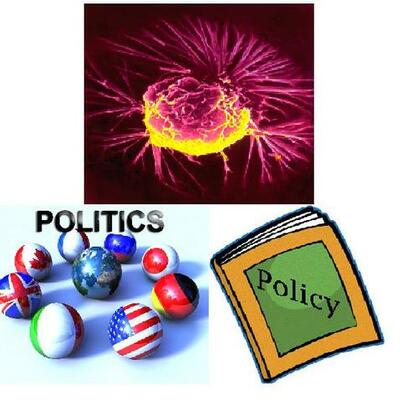 Timeline: Cancer Policy and Politics