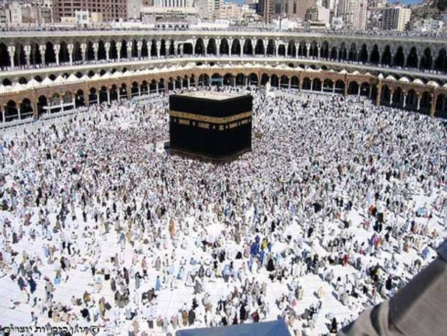 מכה כורתת ברית שלום