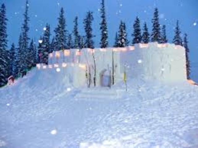 Build a huge snow fort so I can accomplish something.