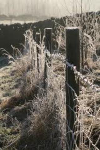 Joseph Glidden invents barbed wire