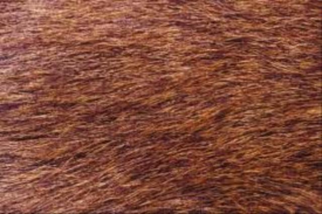 Good Look at Winter and Find Spring in the Snow