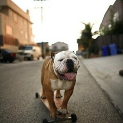 Timeline: SKATEBOARDING